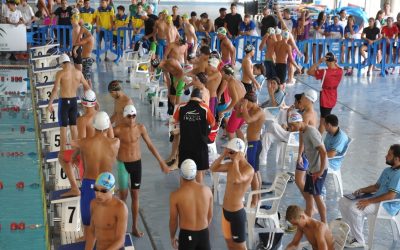 Comienza la competición de Natación. Jornadas Territoriales Infantil, Junior y Absoluto