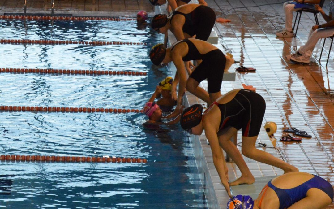 IV Jornada Circuito Provincial Alevín. Torremolinos 21-1-2018