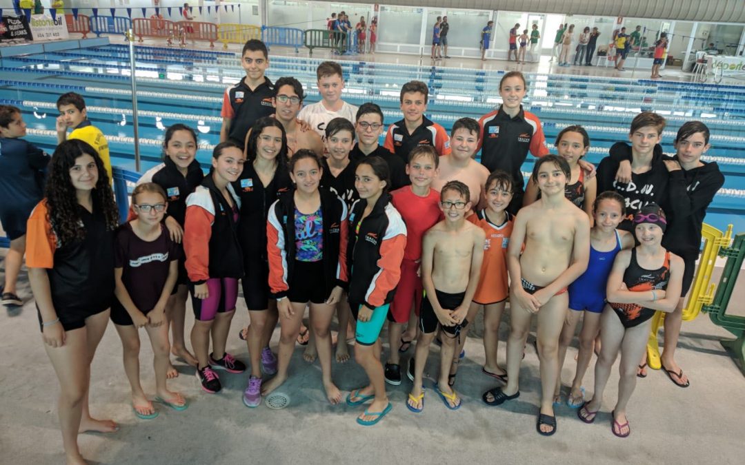 FINAL CAMPEONATO PROVINCIAL ALEVIN – BENJAMIN MALAGA.